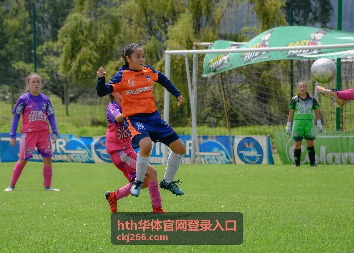 hth华体官网登录入口账号与验证码填写步骤封面